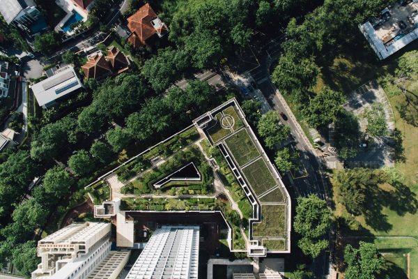 Groendak aanleggen: van planning tot prachtig resultaat